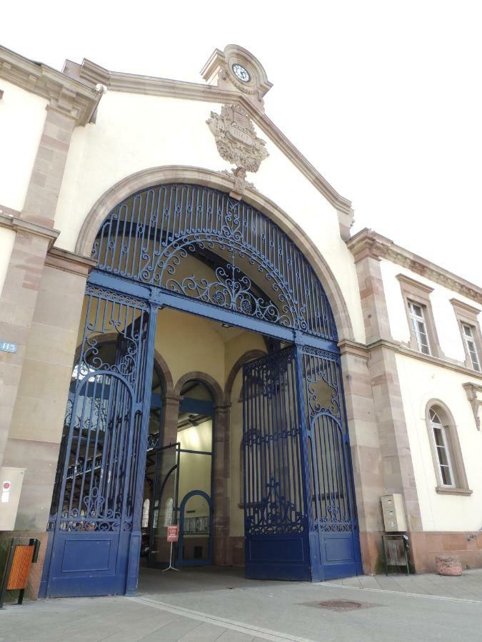 Appart'Azur Haguenau - Centre Grand'Rue - Logements Entiers Pour Voyageur Pro المظهر الخارجي الصورة